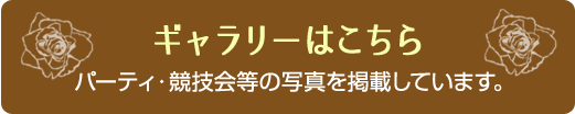 ギャラリーページはこちら